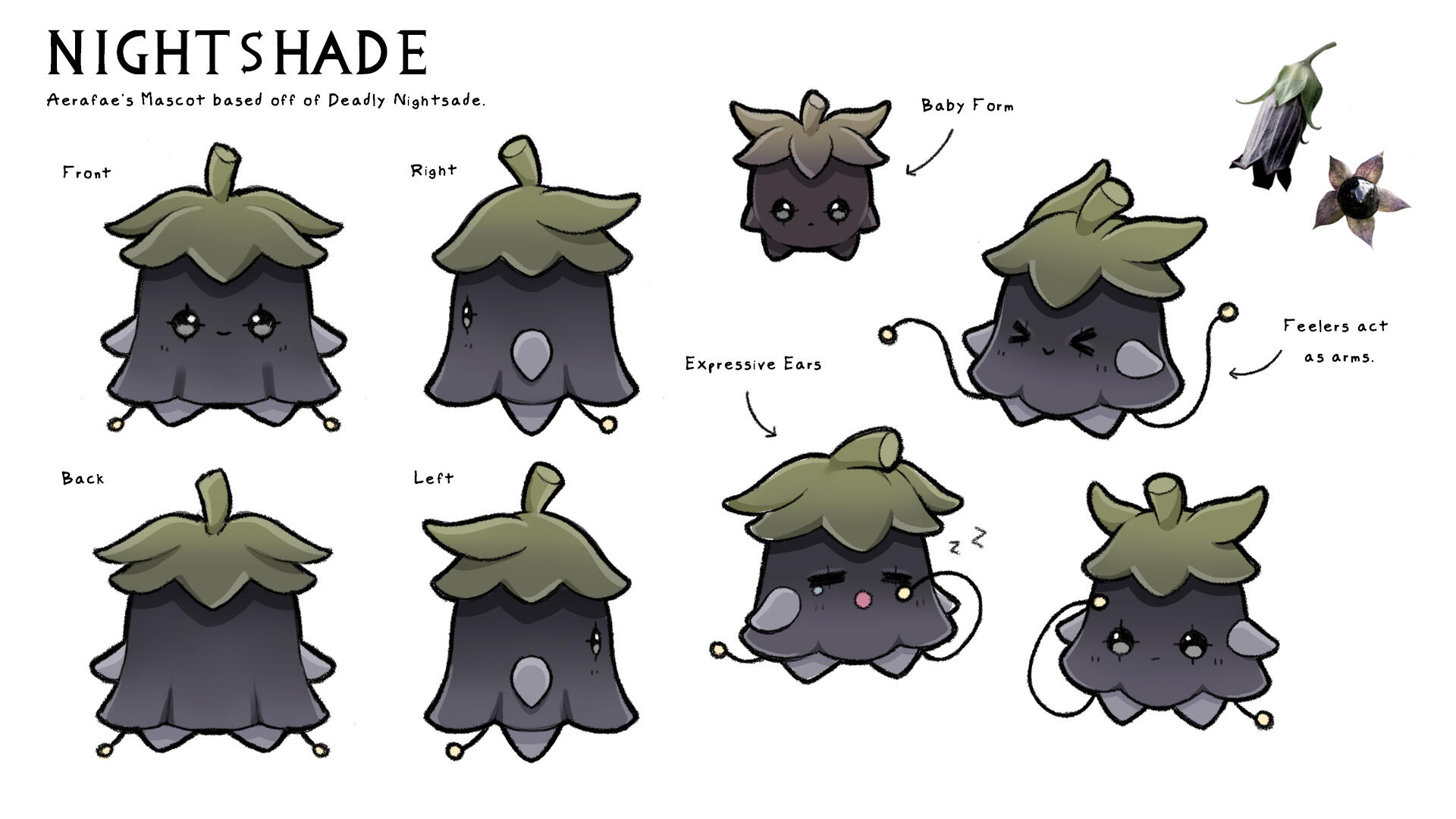 Nightshade Character Sheet Nightshade Character Sheet