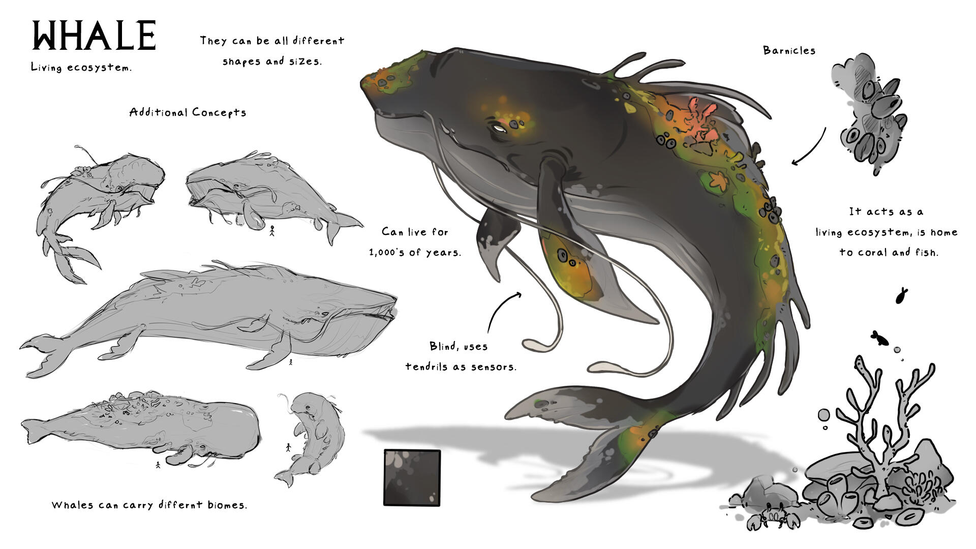 Whale Whale